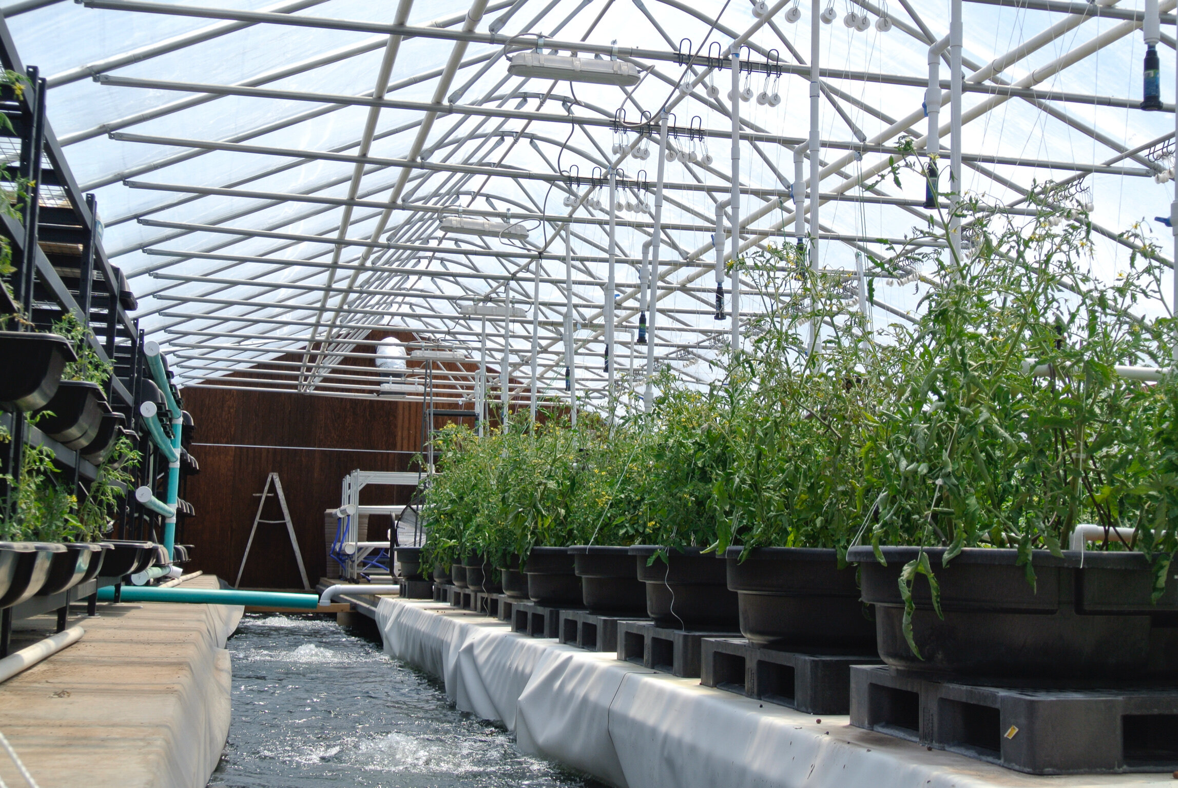 We are currently revamping our Farm Tour Program. We will provide free sustainability tours to our community and anyone interested in learning how to help the earth through sustainable farm and ranch practices.